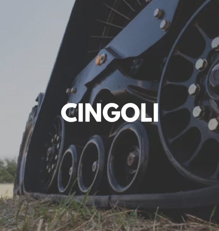 cingoli-759x800 Acquisti Online